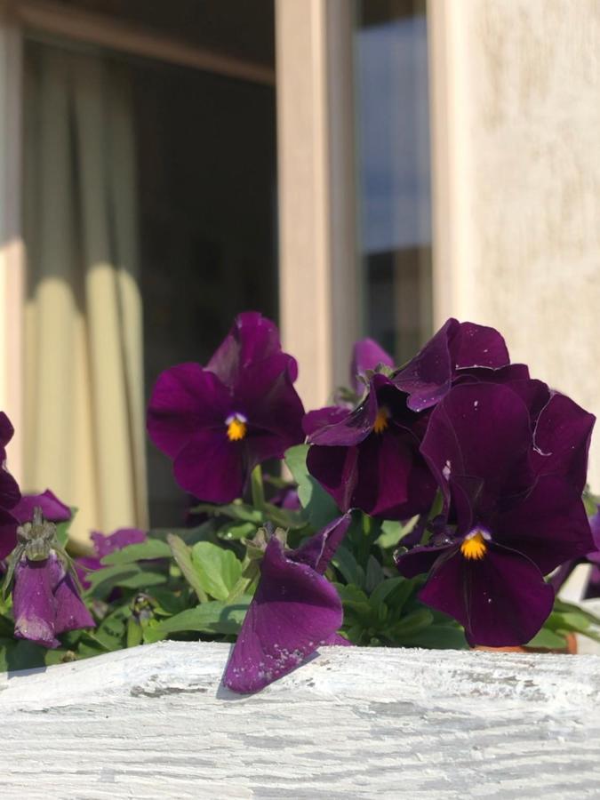 Zerostuni Suite Apartment Zewnętrze zdjęcie